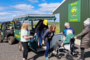 Glasgow: Highland Cow Trailer Tour kotileivonnaisilla