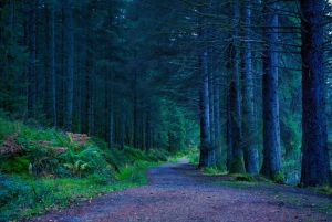 Excursão à costa de Glasgow: - Loch Lomond - Castelo de Stirling