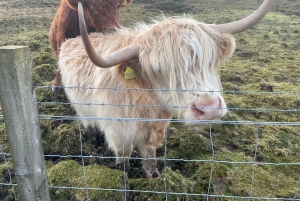 Greenock : Visite du parc national du Loch Lomond et des Trossachs