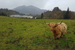 Greenock: Excursión costera al Castillo de Stirling y Loch Lomond