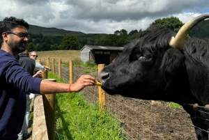 Greenock: Excursión costera al Castillo de Stirling y Loch Lomond
