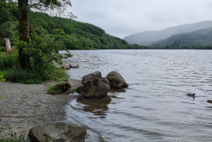 Tour di un giorno del Loch Lomond e delle Highlands