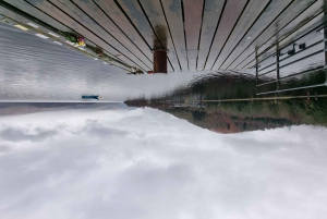 Tour di un giorno del Loch Lomond e delle Highlands