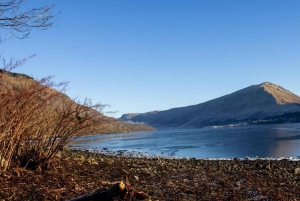 Loch Lomond Highland Cows - halvdagstur i viktoriansk by