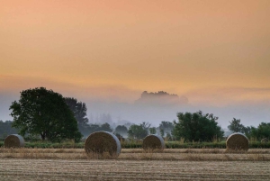 Loch Lomond, Stirling Castle och Kelpies: Privat tur