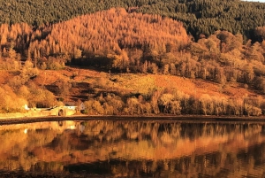 Stirling Castle, The Trossachs, Loch Lomond, tur med sjåfør.