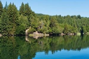 Glasgow: Stirling Castle, Loch Lomond-vandring og whiskytur