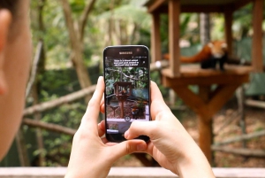 Currumbin Wildlife Sanctuary Ticket