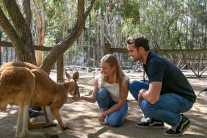 Currumbin Wildlife Sanctuary Ticket