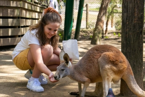Currumbin Wildlife Sanctuary Ticket