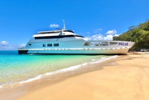 Fra Brisbane: Heldagsudflugt til Moreton Island