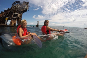 From Brisbane or Gold Coast: Moreton Island Full-Day Trip