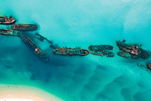 From Brisbane or Gold Coast: Moreton Island Full-Day Trip