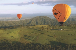 Gold Coast: Hot Air Balloon Flight and Vineyard Breakfast