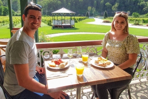 Gold Coast: Hot Air Balloon Flight and Vineyard Breakfast