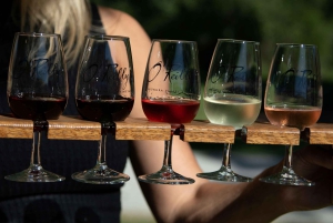 Gold Coast: Hot Air Balloon Flight and Vineyard Breakfast