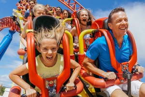 Gold Coast: Movie World, Sea World, & Wet’n’Wild 3-Day Pass