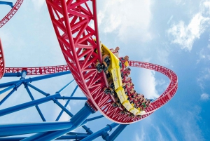 Gold Coast: Movie World, Sea World, & Wet’n’Wild 3-Day Pass
