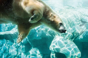 Gold Coast: Movie World, Sea World, & Wet’n’Wild 3-Day Pass