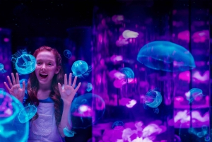 Gold Coast: Movie World, Sea World, & Wet’n’Wild 3-Day Pass