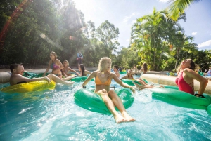 Gold Coast: Movie World, Sea World, & Wet’n’Wild 3-Day Pass