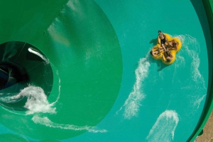 Gold Coast Theme Parks: Shared Hotel Transfers