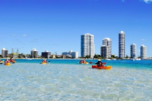 Gold Coast: Tour in kayak e snorkeling dell'isola di Wave Break