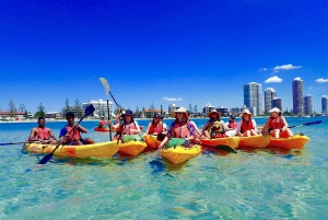 Gold Coast: Wave Break Island Kayaking & Snorkeling tour