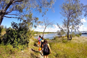 Gold Coast: Wave Break Island Kayaking & Snorkeling tour