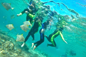 Gold Coast: Wave Break Island Kayaking & Snorkeling tour