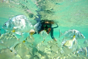 Gold Coast: Wave Break Island Kayaking & Snorkeling tour