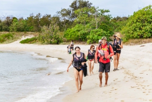 Gold Coast: Wave Break Island Kayaking & Snorkeling tour