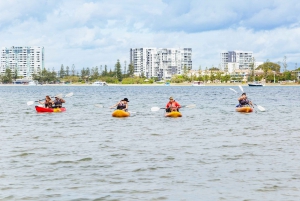 Gold Coast: Wave Break Island Kayaking & Snorkeling tour