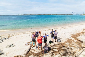 Gold Coast: Wave Break Island Kayaking & Snorkeling tour