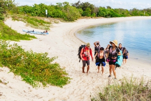 Gold Coast: Wave Break Island Kayaking & Snorkeling tour