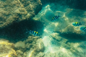 Gold Coast: Wave Break Island Kayaking & Snorkeling tour