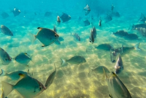 Gold Coast: Wave Break Island Kayaking & Snorkeling tour