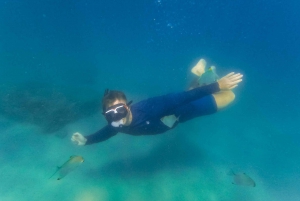 Gold Coast: Wave Break Island Kayaking & Snorkeling tour