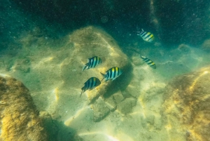 Gold Coast: Wave Break Island Kayaking & Snorkeling tour