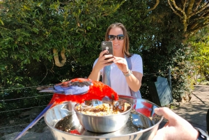 Costa Dorada: Lamington Treetops, fauna y visita a un viñedo