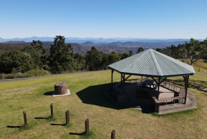 Lamington National Park, O'Reilly's and Vineyard Tour