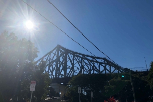 Lone Pine and Brisbane City Highlights