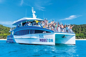 Moreton Island: Dolphin and Snorkel Cruise Adventure