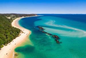 Moreton Island: Dolphin and Snorkel Cruise Adventure