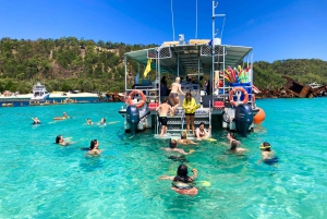 Moreton Island: Dolphin and Snorkel Cruise Adventure