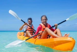 Moreton Island: Dolphin and Snorkel Cruise Adventure