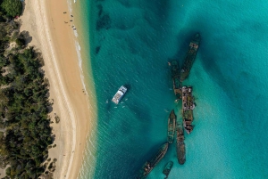 Moreton Island: Premium Tangalooma Snorkel & Dolphin Tour