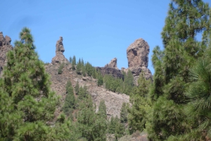 Desde Las Palmas: excursión de día completo al Pico de las Nieves y al Roque Nublo