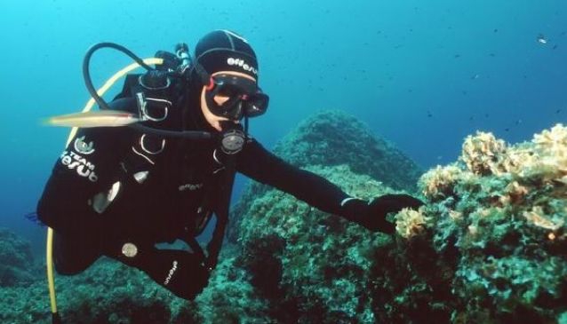 Skiathos Diving center