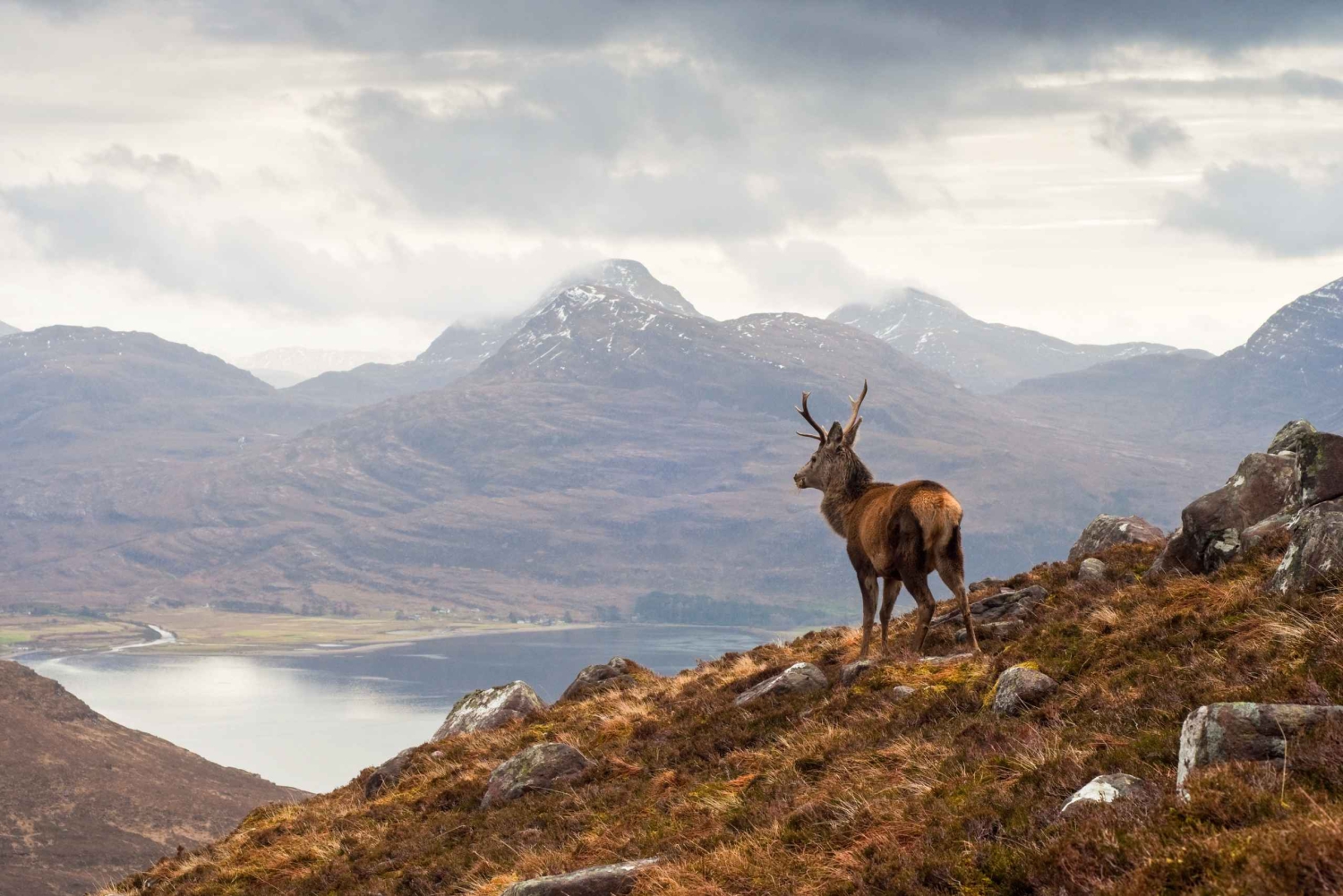 Inverness: Excursión de un día a Applecross, Loch Carron y las Tierras Altas Salvajes